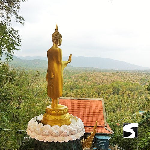 13 - 01 - 26 Half Day Island Tour Around Koh Samui - samuitours.app