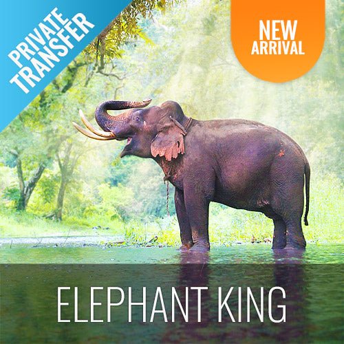 Round - Trip Transfer Elephant Kingdom 400m Skywalk Animal Shelter - samuitours.app