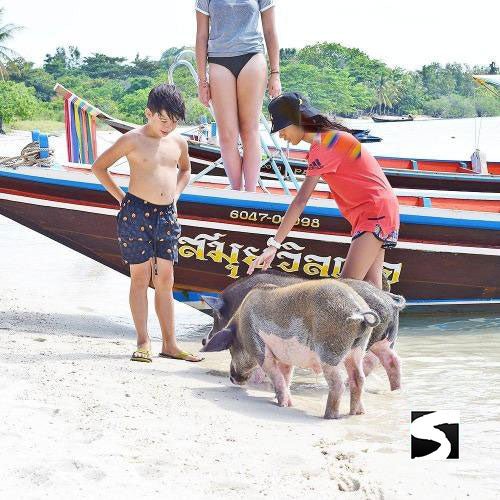 Koh Samui Tours - Secret islands boat trip - samuitours.app