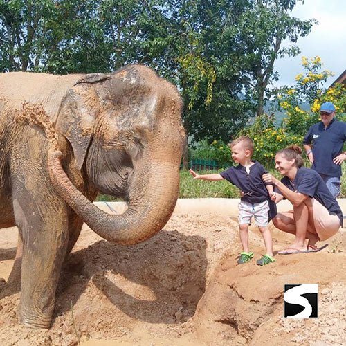 Half Day Activity Elephant Home Shelter - samuitours.app