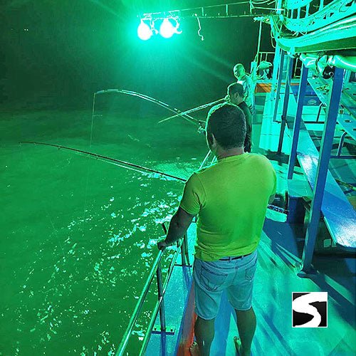 Deep Sea Fishing Traditional Boat - Koh Samui Cruising Excursions - samuitours.app
