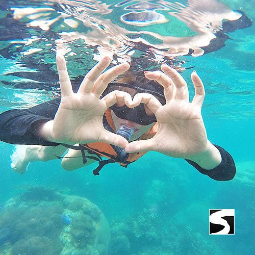 3 Islands Day trip snorkeling Koh Tao & Koh Nang Yuan & Koh Phangan - samuitours.app