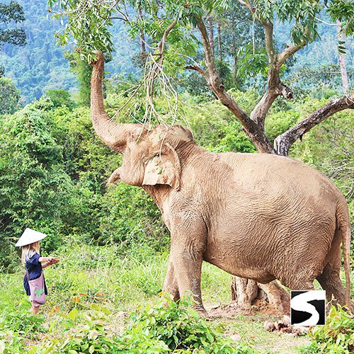 Private Island Tour Around Koh Samui Full Day Shore Excursion - samuitours.app