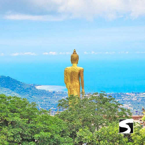 Island Safari Tour - Cruise Ship Visitors Koh Samui - samuitours.app