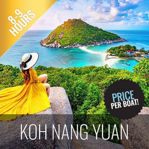 Private Boat Excursion To Koh Tao & Koh Nang Yuan - The Snorkeling Paradise - samuitours.app