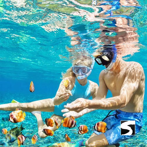 Day trip snorkeling Koh Tao & Koh Nang Yuan - samuitours.app