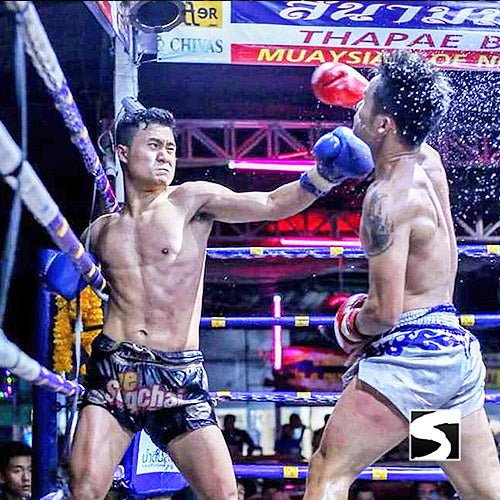 Koh Samui Muay Thai Tickets - next event tickets - samuitours.app
