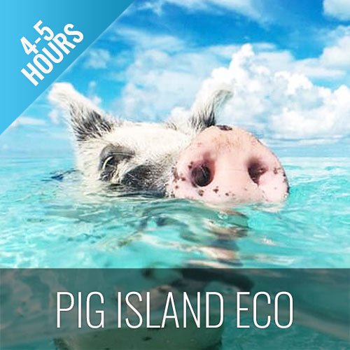Pig Island Snorkeling Koh Mudsum & Koh Tan Speed Boat Economy Tour - samuitours.app