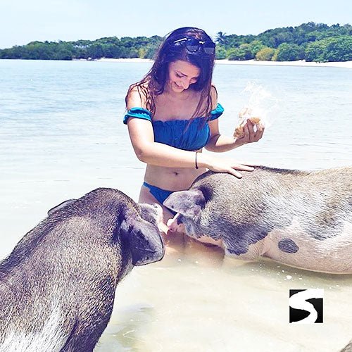 Private snorkel excursion Koh Tan & Koh Mudsum (Pig Island) - samuitours.app