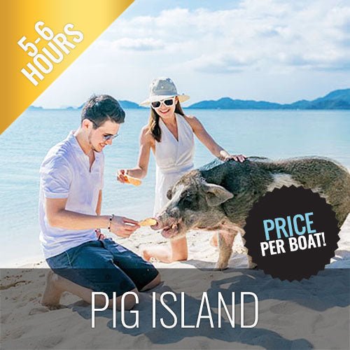 Private snorkel excursion Koh Tan & Koh Mudsum (Pig Island) - samuitours.app