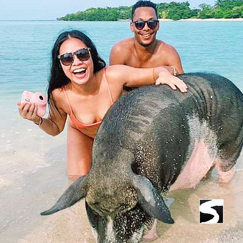 Koh Samui Pink Dolphin tour Khanom - samuitours.app