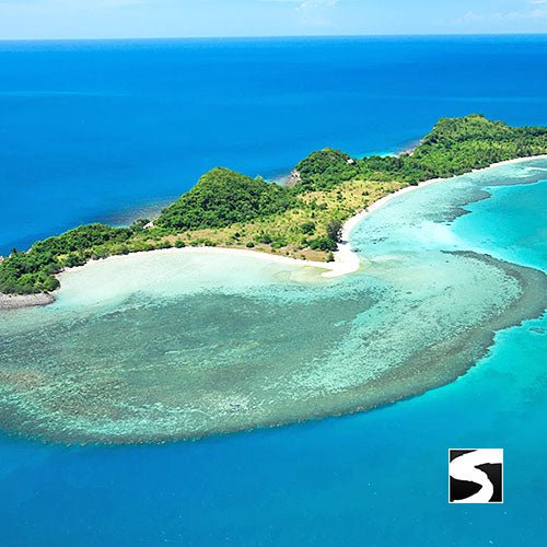 Pig Island Snorkeling Koh Mudsum & Koh Tan Speed Boat Economy Tour - samuitours.app