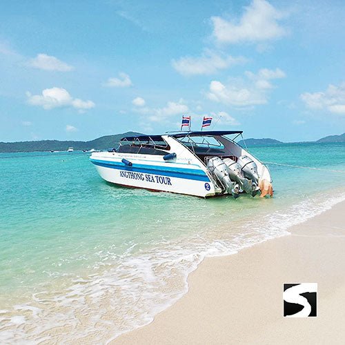 Koh Samui Pink Dolphin tour Khanom - samuitours.app