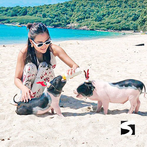 Pig Island Snorkeling Koh Mudsum & Koh Tan Speed Boat Economy Tour - samuitours.app