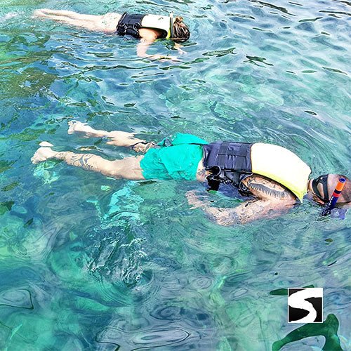 Private snorkel excursion Koh Tan & Koh Mudsum (Pig Island) - samuitours.app