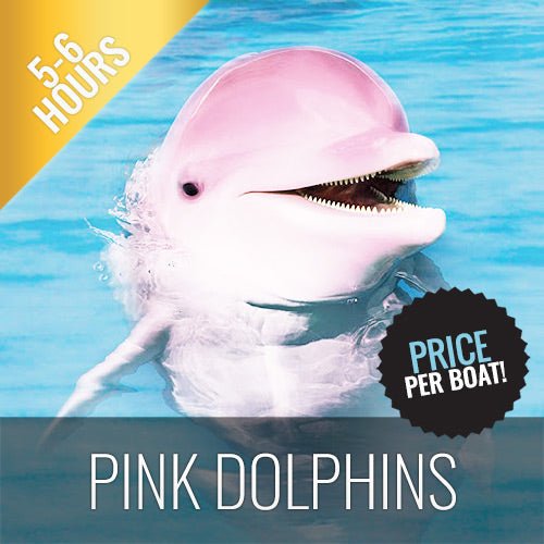 Half Day Luxury Boat Tour To Khanom - Watch Pink Dolphins - samuitours.app
