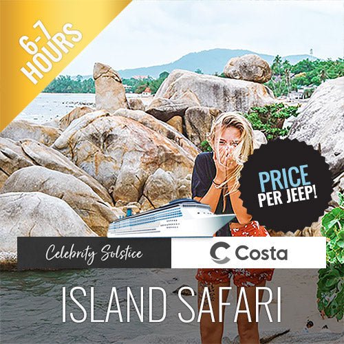 Private Full Day Island Tour with Jungle Safari - Shore Excursion - samuitours.app