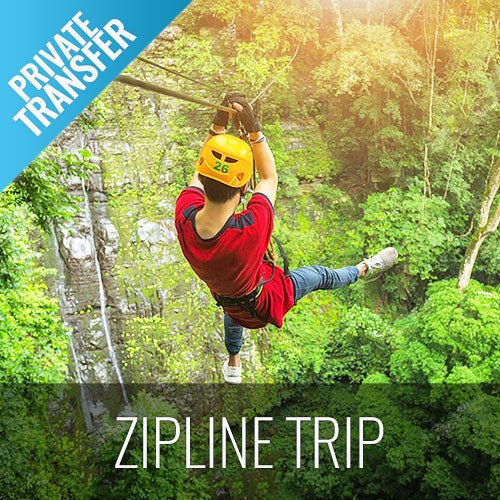 Zipline in Koh Samui Adventure activity tour - samuitours.app