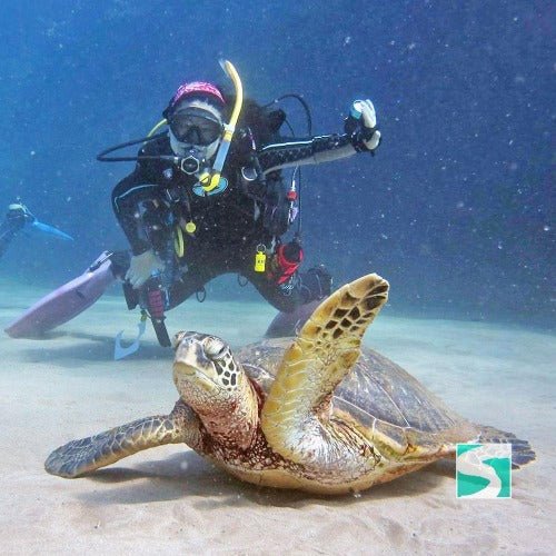PADI open water diver - 3 day course Koh Samui - samuitours.app