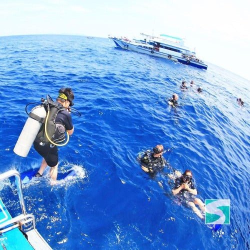 PADI open water diver - 3 day course Koh Samui - samuitours.app