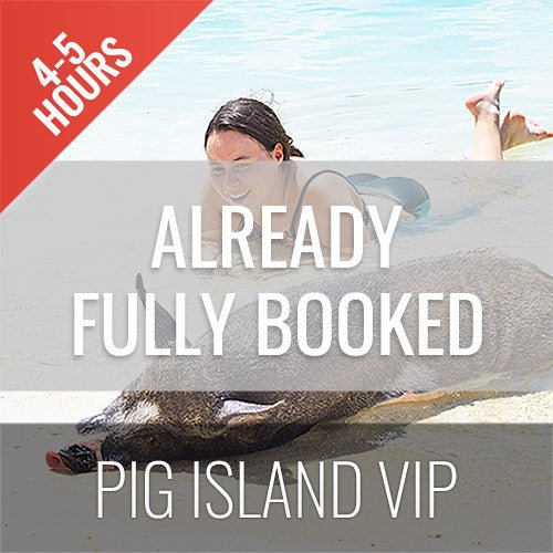 10 - 01 - 26 Pig Island VIP Longtail Boat - samuitours.app