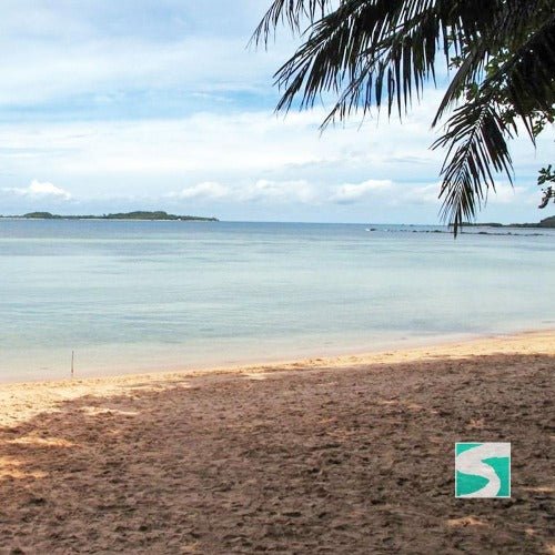 Private Diving Tour Island Koh Tan & Koh Mudsum - samuitours.app