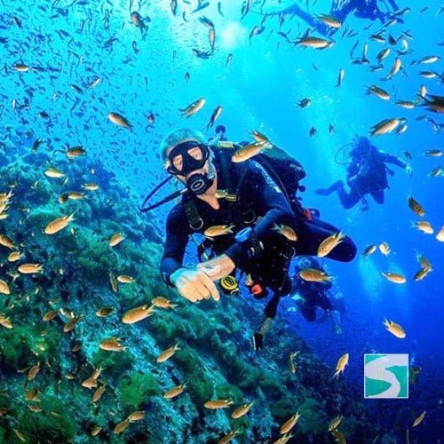 Koh Samui diving course - pool & open sea - samuitours.app