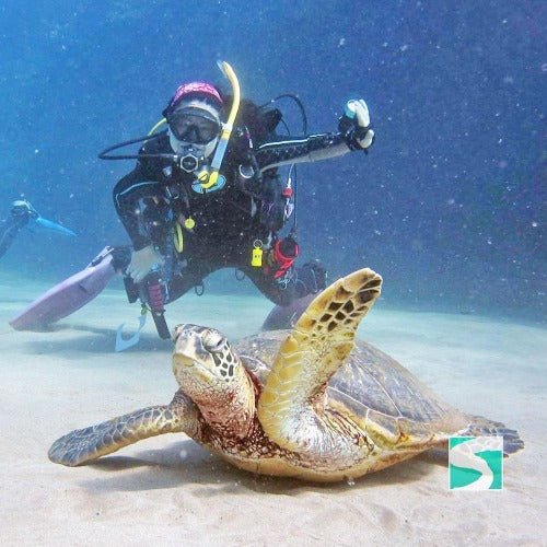 Koh Samui diving course - pool & open sea - samuitours.app