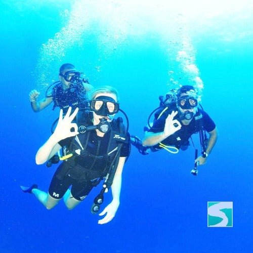 Diving Koh Tao - Sail Rock & whale shark - samuitours.app