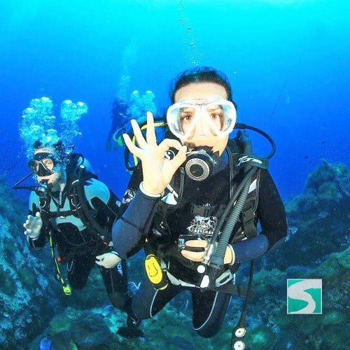 Diving Koh Samui - At beach for beginners - samuitours.app