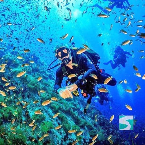 Diving Koh Samui - At beach for beginners - samuitours.app