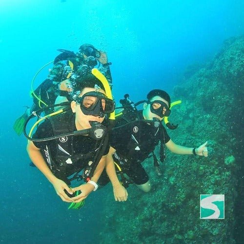 Diving Koh Samui - At beach for beginners - samuitours.app